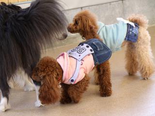20130224_71.jpg