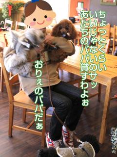 20130224_73.jpg
