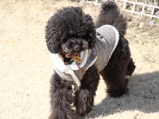 20130224_74.jpg