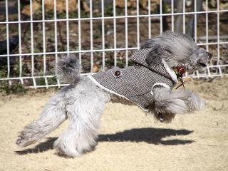 20130224_75.jpg