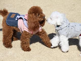 20130224_76.jpg