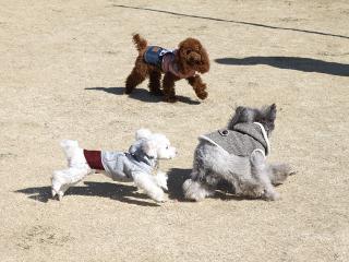 20130224_77.jpg