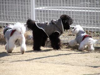 20130224_78.jpg