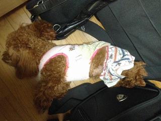 20130301_03.jpg