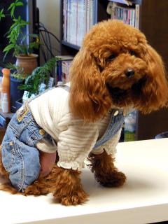 20130312_01.jpg