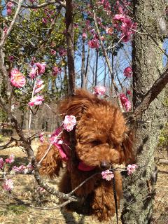 20130312_03.jpg