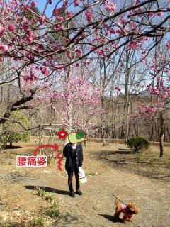 20130312_04.jpg
