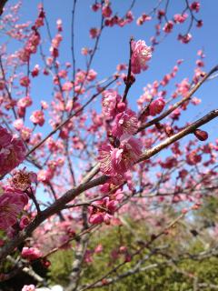 20130312_05.jpg