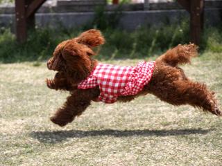 20130429_02.jpg