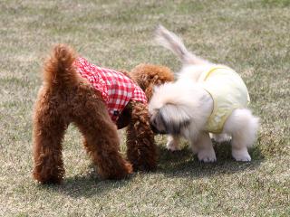 20130429_05.jpg
