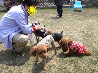 20130429_07.jpg
