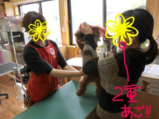 20130429_10.jpg