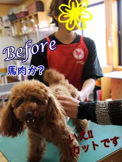 20130429_11.jpg