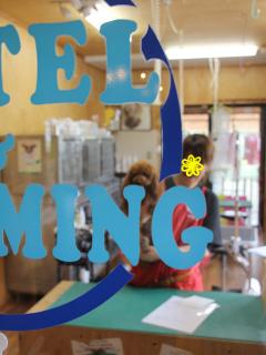 20130429_12.jpg