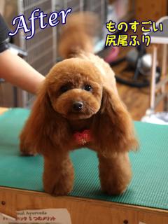 20130429_13.jpg