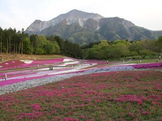 20130429_17.jpg