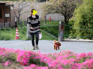 20130429_18.jpg