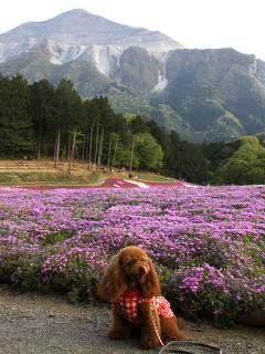 20130429_19.jpg