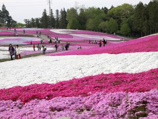 20130429_22.jpg