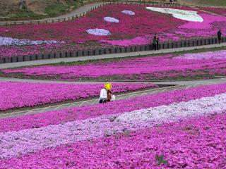 20130429_23.jpg