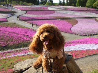 20130429_24.jpg