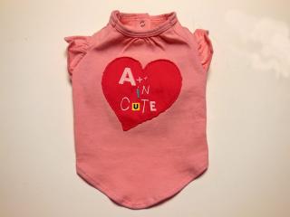 20130430_01.jpg