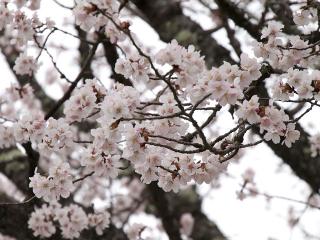 20130430_06.jpg
