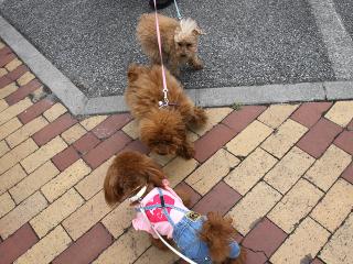 20130430_07.jpg