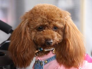 20130430_13.jpg