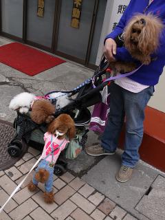 20130430_16.jpg