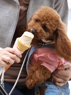 20130430_19.jpg