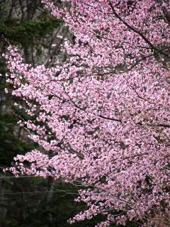 20130430_22.jpg