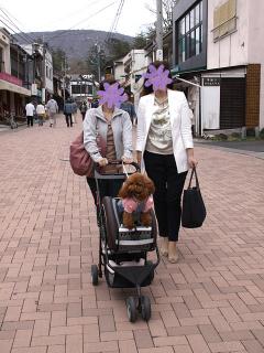 20130430_26.jpg