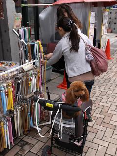 20130430_27.jpg