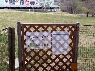 20130430_33.jpg