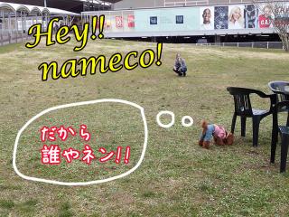 20130430_34.jpg