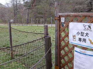 20130430_35.jpg