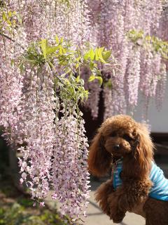 20130430_38.jpg