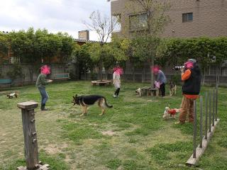 20130501_01.jpg