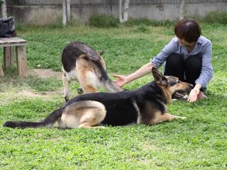 20130501_03.jpg