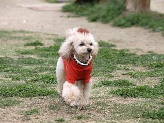 20130501_04.jpg