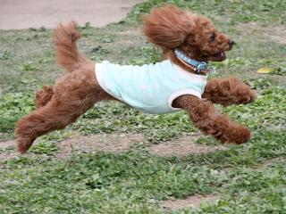 20130501_08.jpg