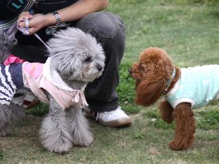 20130501_11.jpg