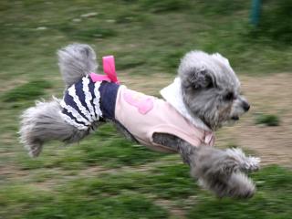 20130501_13.jpg