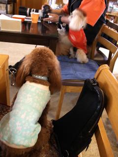 20130501_16.jpg