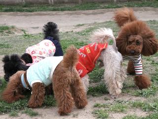 20130501_20.jpg