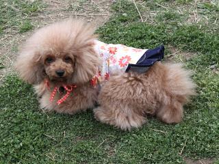 20130501_21.jpg
