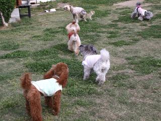 20130501_22.jpg