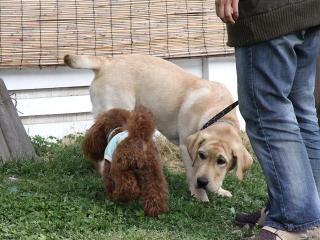20130501_23.jpg