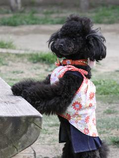 20130501_24.jpg